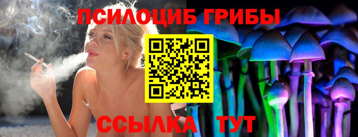Псилоцибиновые грибы Psilocybine cubensis  Вход с VPN  сколько стоит  Калуга 